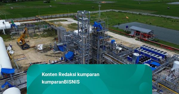 SKK Migas: Bakal Ada 2 Pabrik LPG Plant Baru yang On Stream Bulan Ini