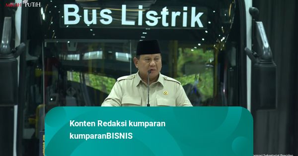 Ada Program Listrifikasi 100 GW, Prabowo akan Pensiunkan PLTD