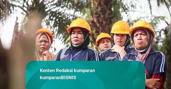 Kisah Petani Sawit Perempuan yang Bangkit dari Keterbatasan