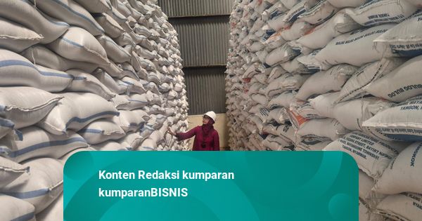100 Titik Gudang Bulog Baru Ditetapkan, Bisa Tampung 900 Ribu Ton Beras