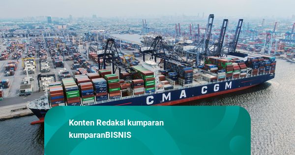 Pelindo Terminal Petikemas Tunjukkan Kinerja Positif di Tengah Gejolak Global