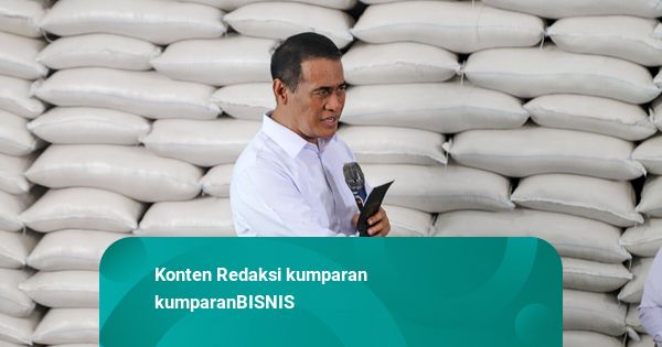 Cadangan Beras Pemerintah Tembus 5 Juta Ton, Tertinggi Sepanjang Sejarah