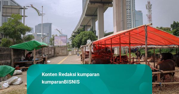 Foto: Sebulan Jelang Idul Adha, Lapak Hewan Kurban Mulai Bermunculan
