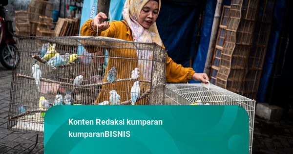 Foto: Perputaran Ekonomi Burung Kicau Tembus Rp 2 Triliun