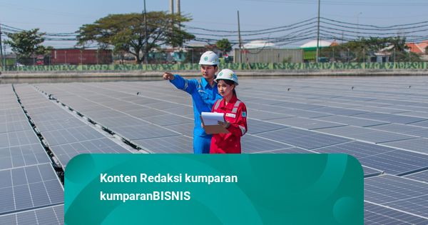 PLN IP Gandeng DevvStream Garap Bisnis Karbon Global dari PLTS Off-Grid