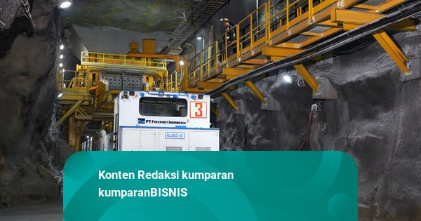 PTFI Perkuat Ekonomi & Pendidikan Papua Tengah Lewat Investasi Jangka Panjang