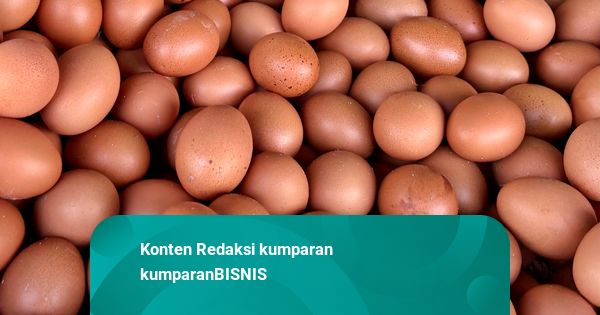 Kementan Janji Harga Telur di Tingkat Peternak Bisa Naik Lagi Mulai Besok