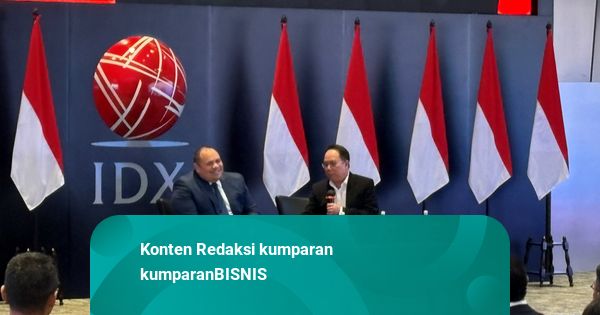 Pandu Sjahrir Target Perusahaan WTE Denera Bisa IPO di BEI