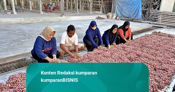 Petani Bawang Merah di Nganjuk Antisipasi El Nino: Andalkan Sumur-Benahi Irigasi