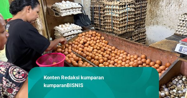 Peternak soal Harga Telur Murah: Produksi Melimpah, Pasar Belum Serap Maksimal