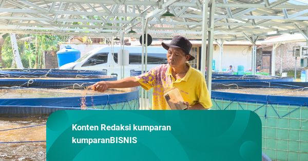Budi Daya Tematik Nila Bioflok, Wujud Ketahanan Pangan di Sidomukti Kebumen