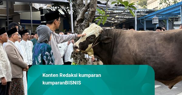 Populer: Rupiah Melemah Ditanggapi Santai; Purbaya Kurban Sapi Jumbo