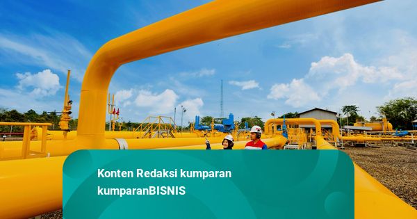 PGN Jaga Ketahanan Bisnis dan Perkuat Fondasi Pertumbuhan Jangka Panjang