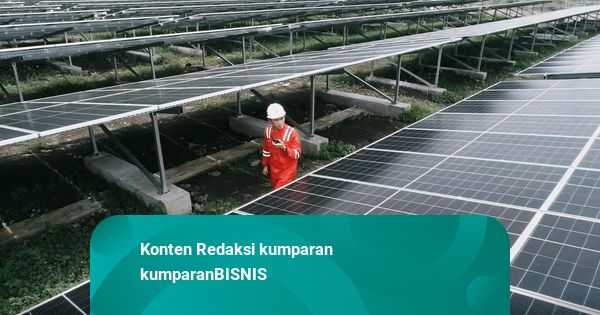 PLN Indonesia Power Bidik Ekspansi Bisnis di Kawasan Amerika Latin & Karibia