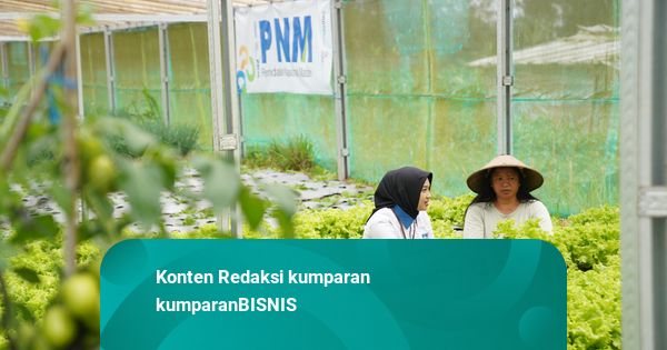Indonesia Sustainability Award 2026 Apresiasi Komitmen ESG dan Pemberdayaan PNM