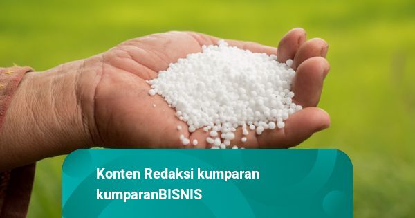 Perang Bikin Harga Pupuk Melambung, Bank Dunia Ingatkan Risiko Ketahanan Pangan