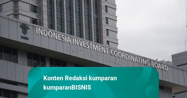 Indonesia Dorong Diplomasi Investasi Hijau di Forum APEC Korea Selatan