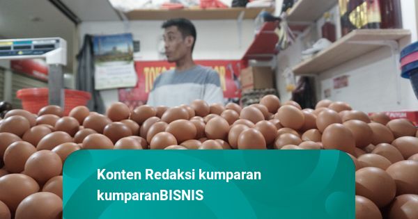 Harga Telur Ayam Turun di Jakarta, Rata-rata Dijual Rp 27.000 per Kg
