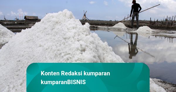 Pengusaha Minta Relaksasi Agar Tetap Bisa Impor Garam Industri Setelah 2027