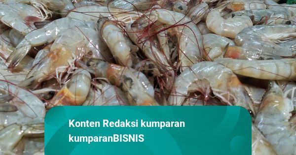 Udang RI Masih Bisa Diekspor ke Amerika Serikat