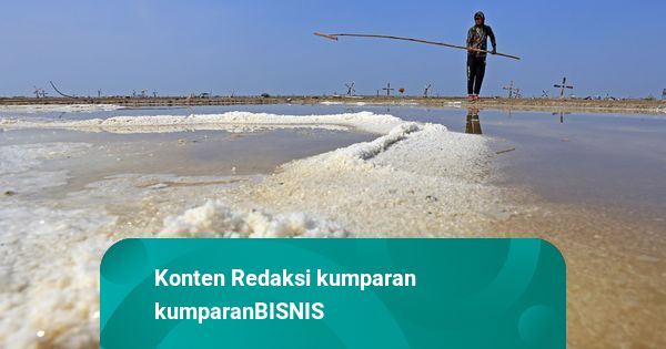 Pembangunan Sentra Garam Rote Ndao Dipercepat, Target Swasembada 2027