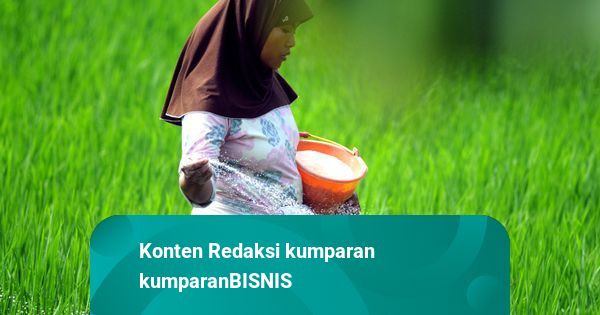 Harga Pupuk Turun 20 Persen, Efeknya ke Petani Masih Butuh Waktu