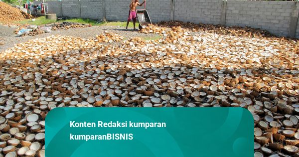 Pabrik Hilirisasi Kelapa Senilai Rp 1,6 Triliun Ditarget Rampung 2026