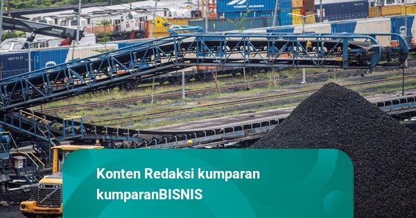 Belanja Modal PTBA Hampir Rp 1 Triliun dalam 4 Bulan, Ini Penggunaannya