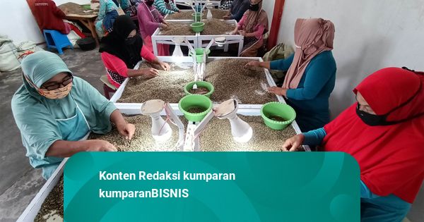 Mentan Siapkan Rp 40 M untuk Pembibitan Kopi Pascabencana di Aceh