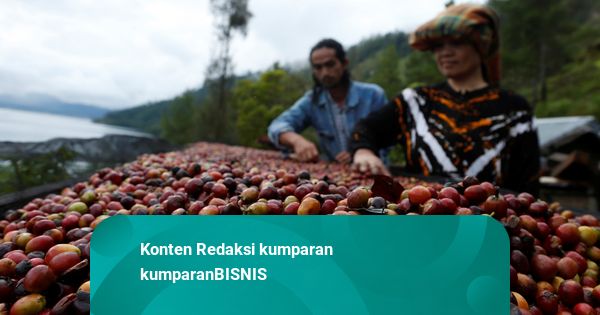 Jepang Luncurkan Pendanaan hingga USD 75 Juta Buat Petani Kopi Indonesia-Vietnam