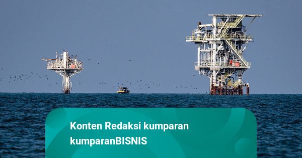 SKK Migas Ungkap BP Berminat pada Blok Migas yang Dilelang RI