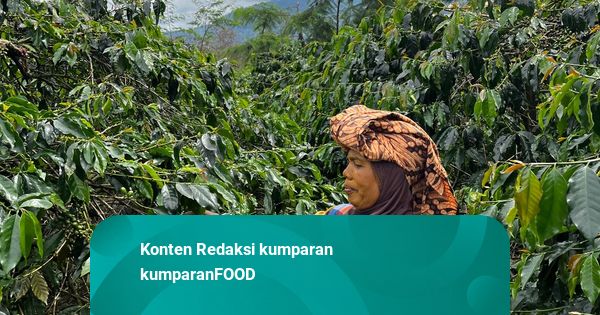 From Bean to Cup: Menelusuri Akar Kopi Arabika yang Legendaris