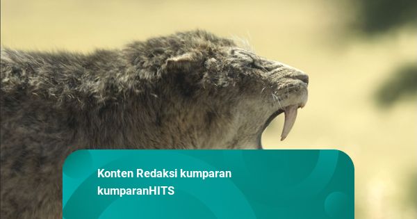 Dokumenter Prehistoric Planet: Ice Age Siap Tayang 26 November 2025