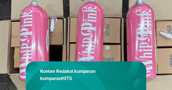 Pernah Disponsori Whip Pink, Manajemen DWP Diperiksa Polisi