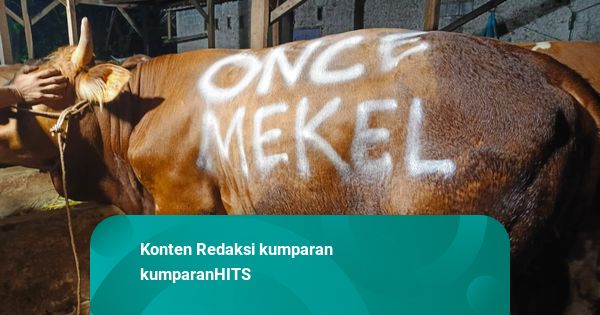 Once Mekel Berkurban 27 Hewan di Momen Idul Adha Tahun Ini