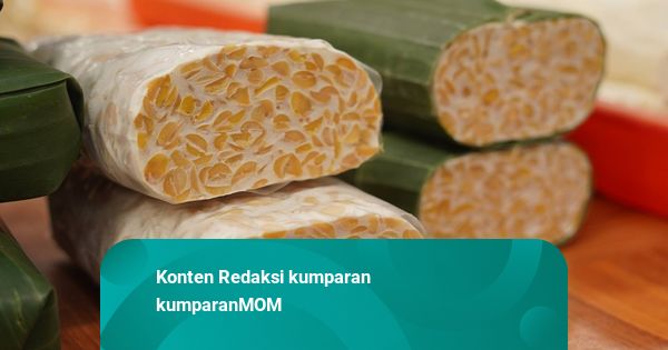 Tempe, Pangan Tradisional yang Mengandung Probiotik