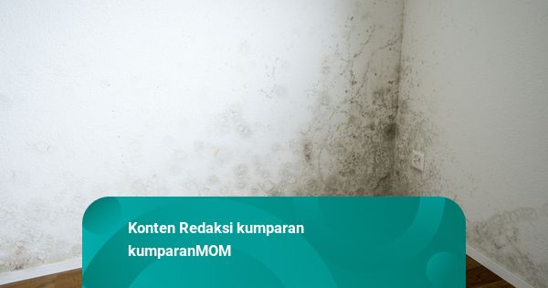 Musim Hujan Bikin Rumah Lembap? Ini Risiko dan Cara Mengatasinya