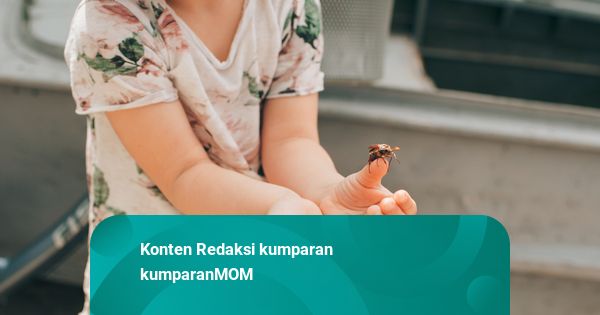 Balita Disengat Lebah, Apa yang Harus Dilakukan?