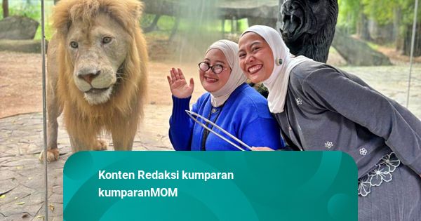 Serunya Liburan Keluarga di Faunaland Ancol: Kasih Makan Singa-Naik Perahu!