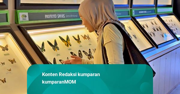 Aviary Park Indonesia, Wisata Alternatif yang Cocok untuk Healing Keluarga