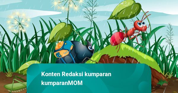 Dongeng Anak Islami: Kisah Nabi Sulaiman dan Semut yang Bijaksana