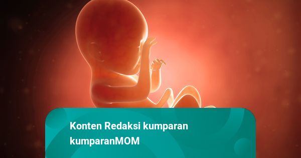 Jelang Melahirkan, Ini Fakta Menarik Perkembangan Bayi di Dalam Kandungan