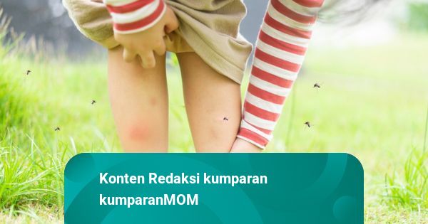 Waspada Monkey Malaria, Ini Gejala dan Wilayah yang Rentan Terpapar