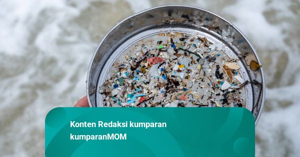 Dosen Unair Temukan Mikroplastik di Urine hingga Air Ketuban di Gresik!