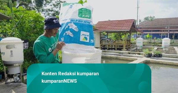 Cara Kerja eFishery Sebelum Eks CEO Tersandung Kasus Penipuan Investasi