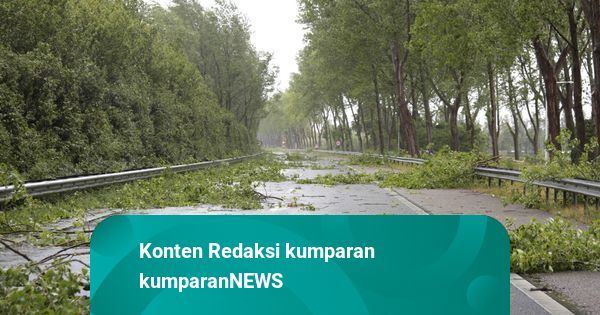 Hujan Angin Sore Ini: Reklame Roboh di Tol Dalkot, Pohon Tumbang di Jagorawi