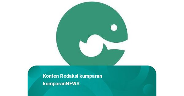 Perjalanan eFishery: Dari Startup Sederhana, Jadi Unicorn lalu Kolaps