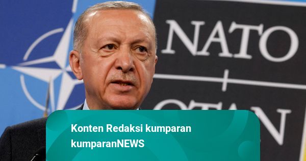 Erdogan Kecam Drone Ukraina Serang 'Armada Bayangan' Rusia di Laut Hitam