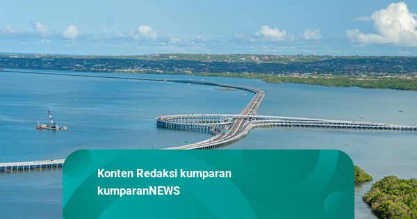 Heboh Kawanan Lebah Muncul di Tol Bali Mandara, Ini Penjelasan BKSDA