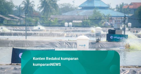 Sederet Investor eFishery Sebelum Eks CEO Tersangka Penipuan Investasi